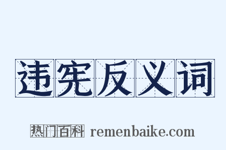 违宪反义词是什么意思的图片